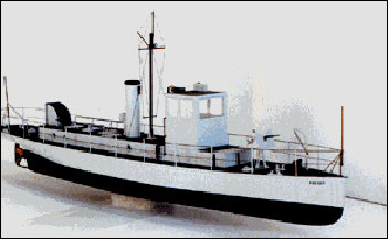 Green Parrot  (Plans)